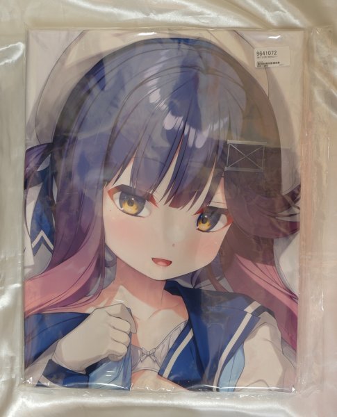  на лошадь Dakimakura покрытие *.. календарь *A&J Like to long Ricci *.. это расческа ..* Я невеста specification (SJ)[ нераспечатанный * не использовался товар * стандартный товар ] стоимость доставки Y185~