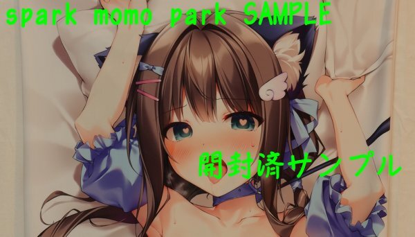 SJ Я невеста specification *KAROMIX* кошка ушко (уголок) meido звезда .... Chan Dakimakura покрытие (SJver / Karory*[ нераспечатанный * не использовался товар * стандартный товар ] стоимость доставки Y185~