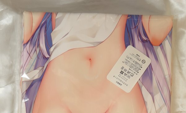  Я. невеста!..* 23.4do*i Chile * Leroux na Dakimakura покрытие *A&J* Like to long Ricci [ нераспечатанный * не использовался товар * стандартный товар ] стоимость доставки Y185~