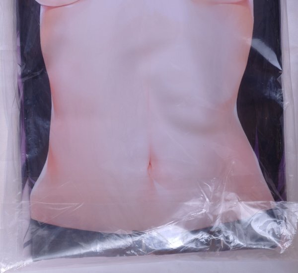 [ повторный .] зизифус Chan Rav Rav Dakimakura покрытие haku* стоимость доставки Y185~. чай Stella .. бог. бабочка ~ 4 сезон зизифус [ нераспечатанный * не использовался товар * стандартный товар ]