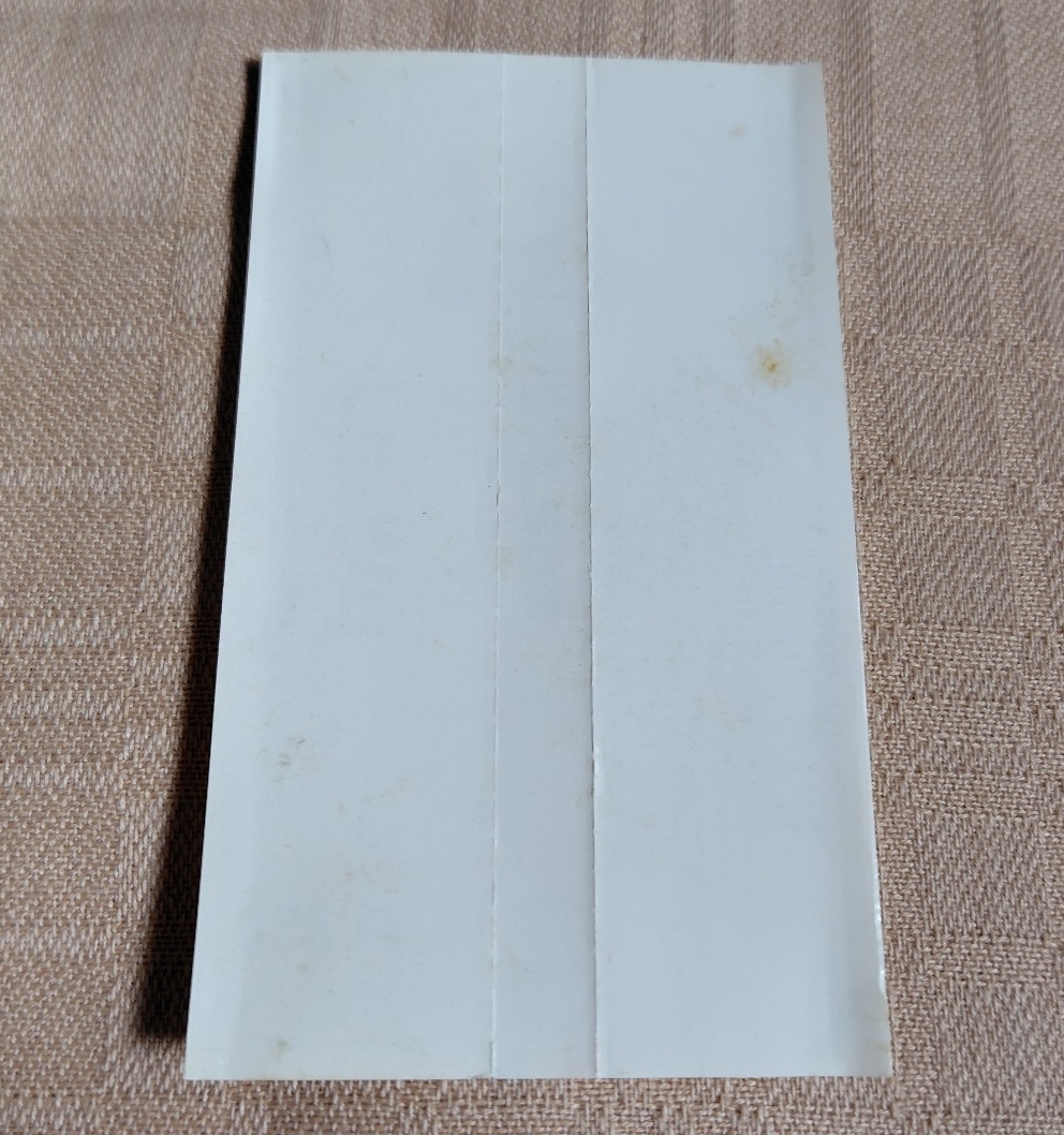 ケイト・ブッシュ/KATE BUSH「魔物語/NEVER FOR EVER」_画像5