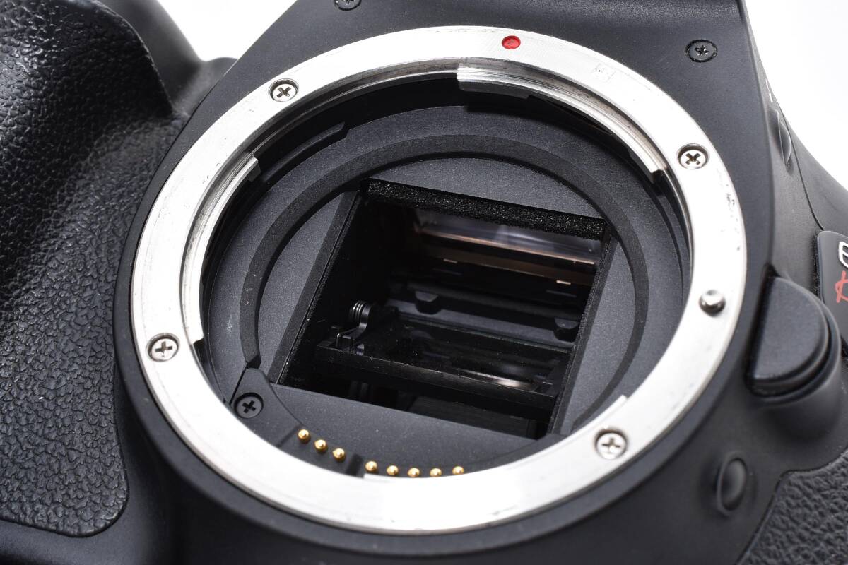 【動作品・光学良好】Canon EOS kiss X5　No.923_画像9