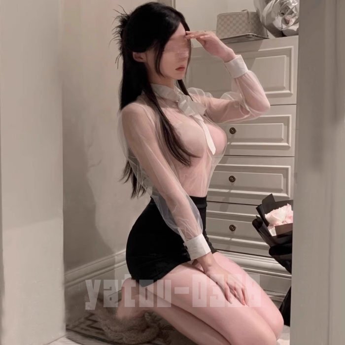 K218 コスプレウェア 透け透け シースルー トップス ミニスカート 女教師 秘書 セクシーランジェリー ナイトウェア_画像6