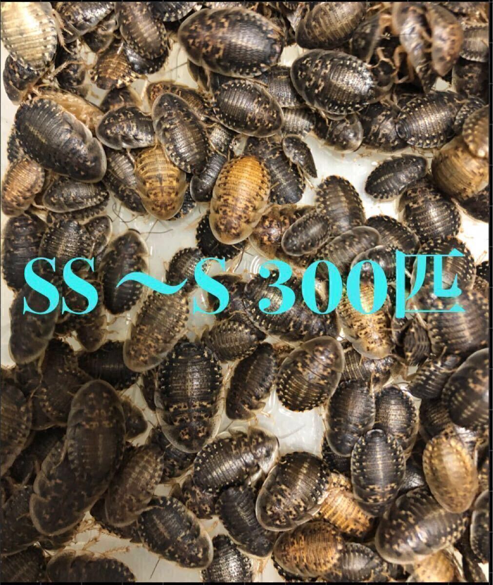 te. Via ровность выбор другой ..SS-S300 шт +. надеты гарантия 10% включая доставку te. Via ровность выбор другой ..SS-S300 шт +. надеты гарантия 10% включая доставку