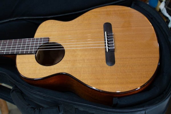 aNueNue aNN-MN14E アヌエヌエ aNNMN14E ミニナイロン マイク搭載 ミニクラシックギター_画像1