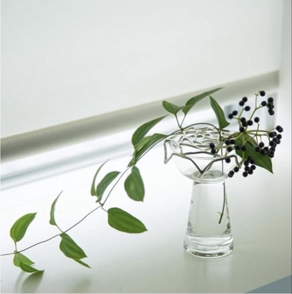 能作　曲がる/band KAGO NOUSAKU ローズ S_画像5