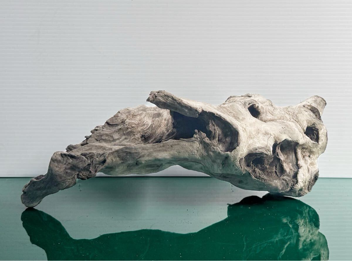  коряга (40×20×14cm) [ аквариум / террариум / аквариум расположение / рептилии / шримс Plecostomus / ракушка ta-.]