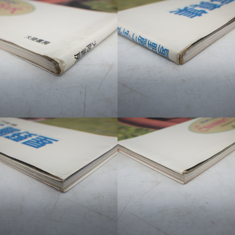 かとうれいこ写真集 「HEART BEAT」 星野麗子写真集 「Summer Book」_画像5