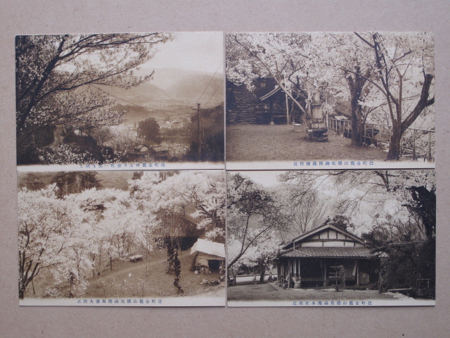 大正中期～昭和初期 公園 花見 絵葉書 『 辻町 金龍山 桜花満開の景 』計４点 未使用 徳島県 三好郡 辻町 金龍山農村公園 井川町 三好市_画像1