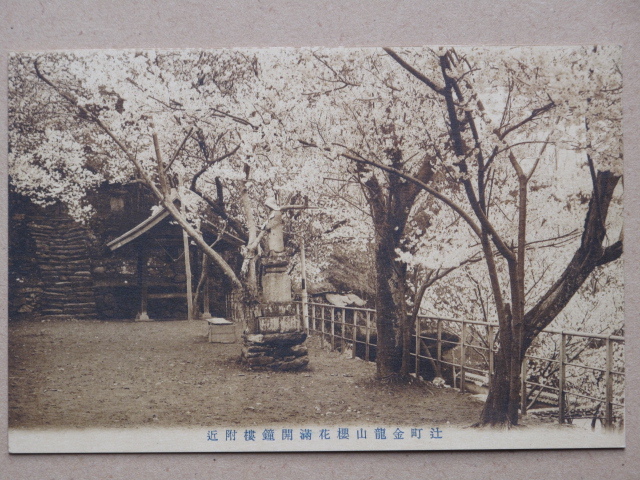 大正中期～昭和初期 公園 花見 絵葉書 『 辻町 金龍山 桜花満開の景 』計４点 未使用 徳島県 三好郡 辻町 金龍山農村公園 井川町 三好市_画像3