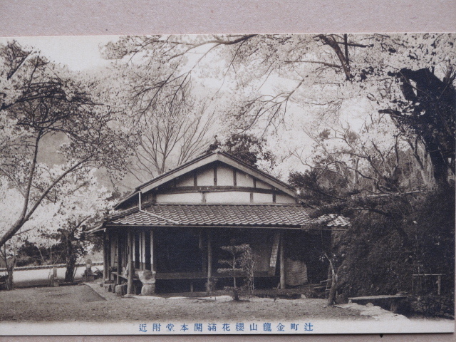 大正中期～昭和初期 公園 花見 絵葉書 『 辻町 金龍山 桜花満開の景 』計４点 未使用 徳島県 三好郡 辻町 金龍山農村公園 井川町 三好市_画像5