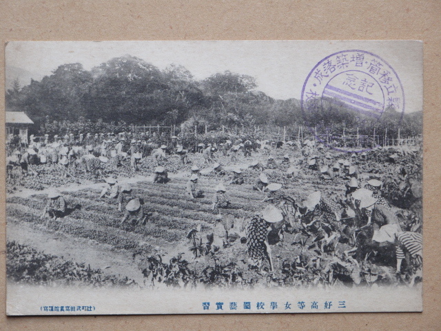 大正13年 学校 絵葉書 『 徳島県立 三好高等女学校 』計3点 未使用 県立移管 増築落成 記念スタンプ 三好郡 辻町 井川町 辻高校 辻駅_画像4