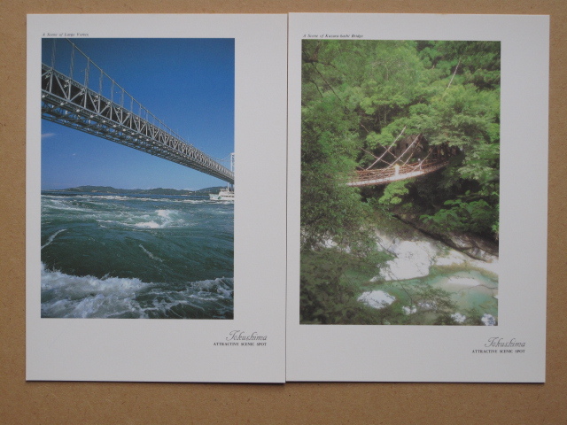 平成時代 名所 絵葉書 『 植田典男 写真集 徳島 』計１２点 ケース入 カラー版 阿波踊り 剣山 土柱 大谷焼 眉山の落日 大鳴門橋 霊山寺_画像4