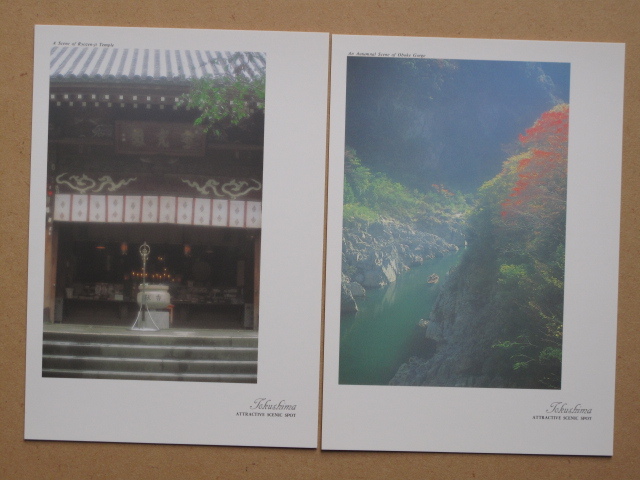 平成時代 名所 絵葉書 『 植田典男 写真集 徳島 』計１２点 ケース入 カラー版 阿波踊り 剣山 土柱 大谷焼 眉山の落日 大鳴門橋 霊山寺_画像5