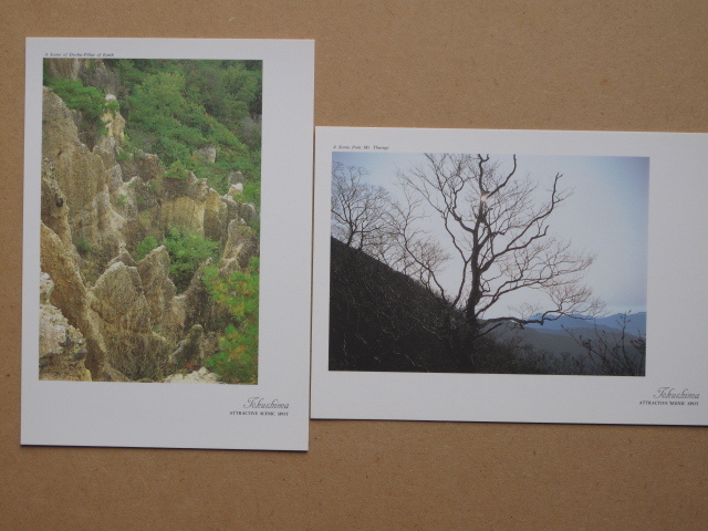 平成時代 名所 絵葉書 『 植田典男 写真集 徳島 』計１２点 ケース入 カラー版 阿波踊り 剣山 土柱 大谷焼 眉山の落日 大鳴門橋 霊山寺_画像8