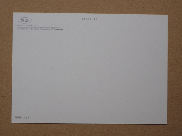 平成時代 名所 絵葉書 『 植田典男 写真集 徳島 』計１２点 ケース入 カラー版 阿波踊り 剣山 土柱 大谷焼 眉山の落日 大鳴門橋 霊山寺_画像10