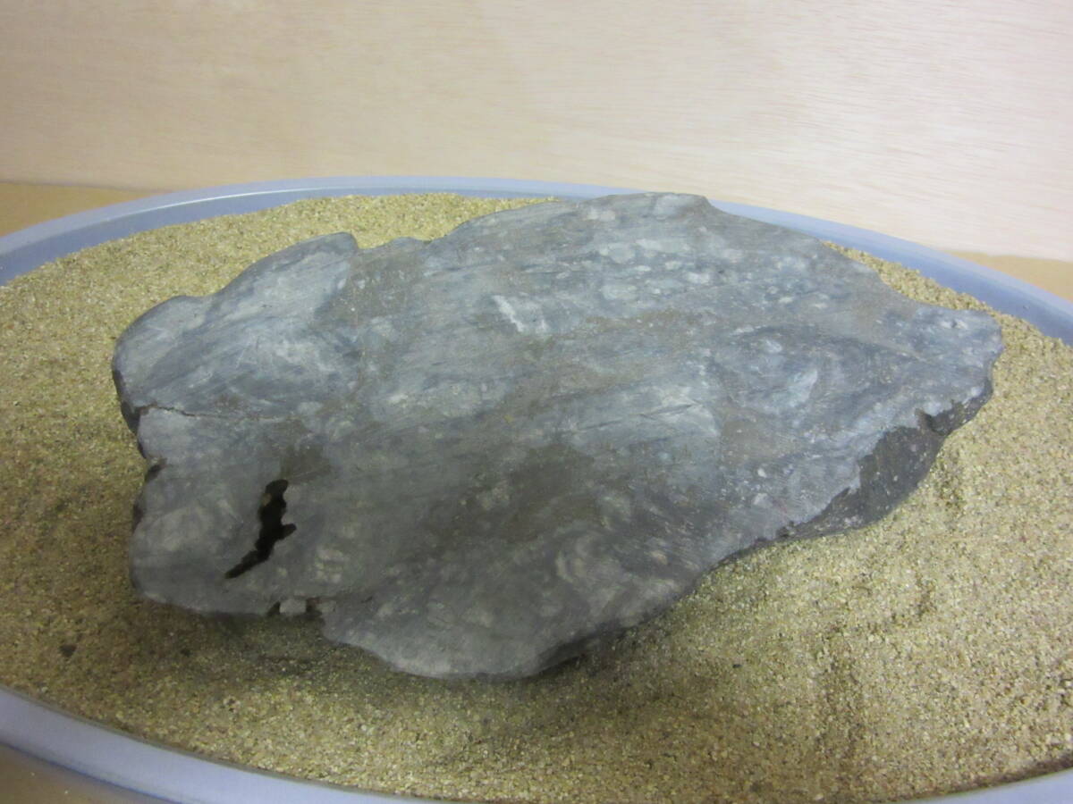 Ａ３　姫川石　水石　水盤飾り　鑑賞石_画像5