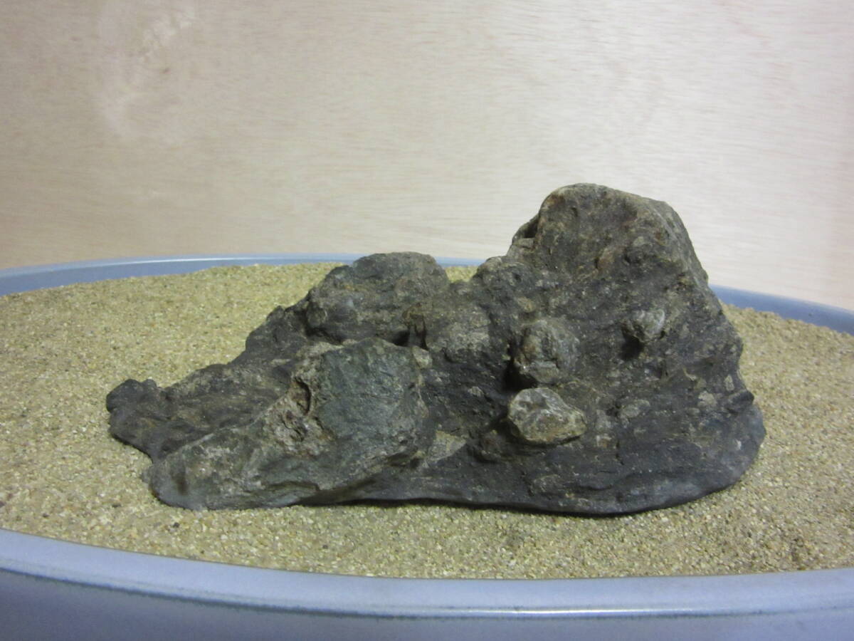 A3 佐治川石 水石 鑑賞石 水盤飾り_画像5