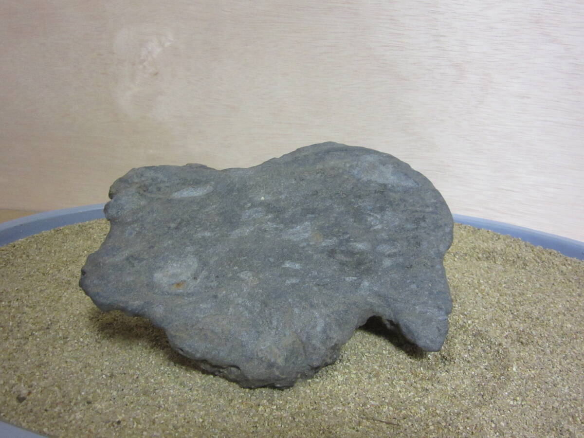 A3 佐治川石 水石 鑑賞石 水盤飾り_画像7