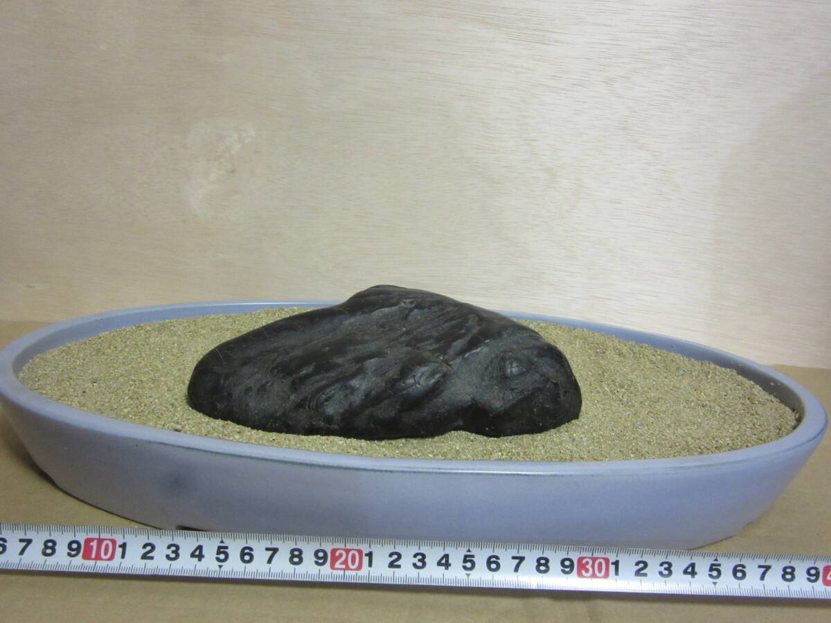 A3 只見川石 水石 水盤飾り 鑑賞石 _画像6