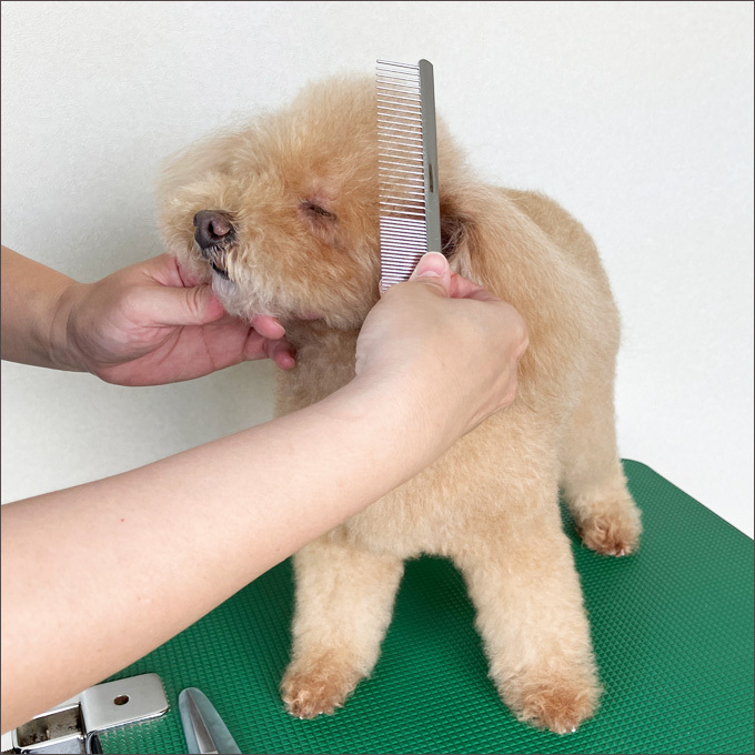 送料無料 国産 高級両目コーム No3 中荒コーム ペット トリミング 犬 猫 くし 櫛 ブラシ【TG】_画像4