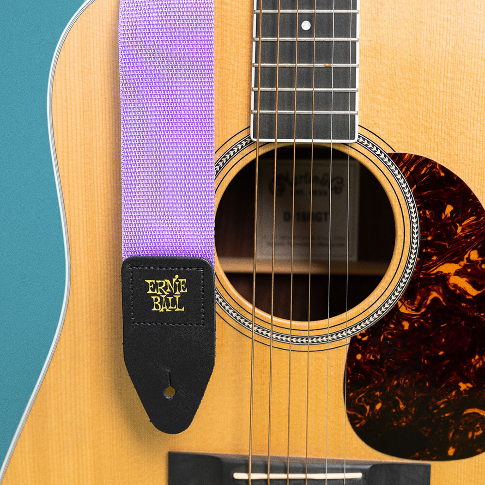 ERNIE BALL Polypro Straps 5378 GT/BS Purple Sunset гитара ремешок 