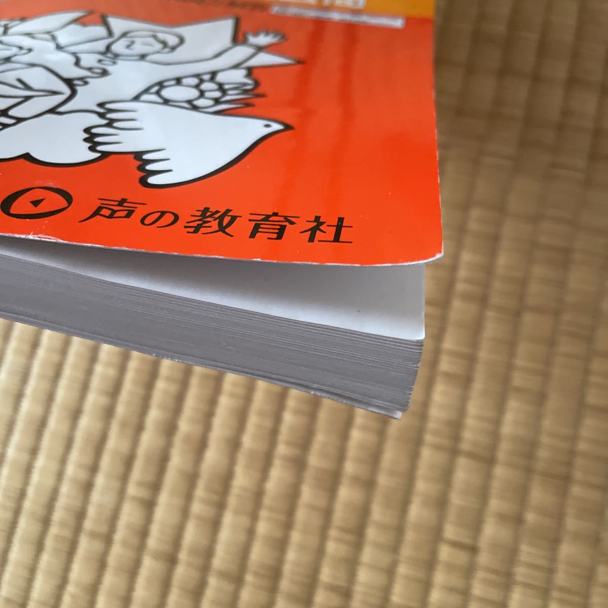 2023年度用　青山学院横浜英和中学校 3年間　過去問　1000_画像5