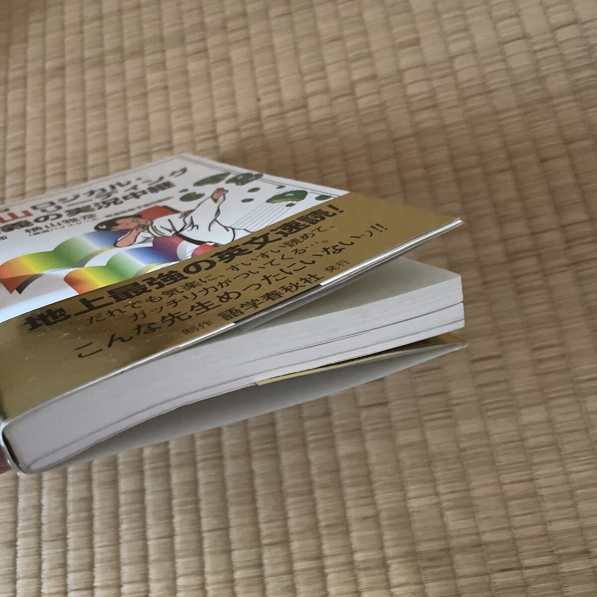 横山ロジカル・リーディング講義の実況中継　美品　英語　東進　横山雅彦　2500_画像4