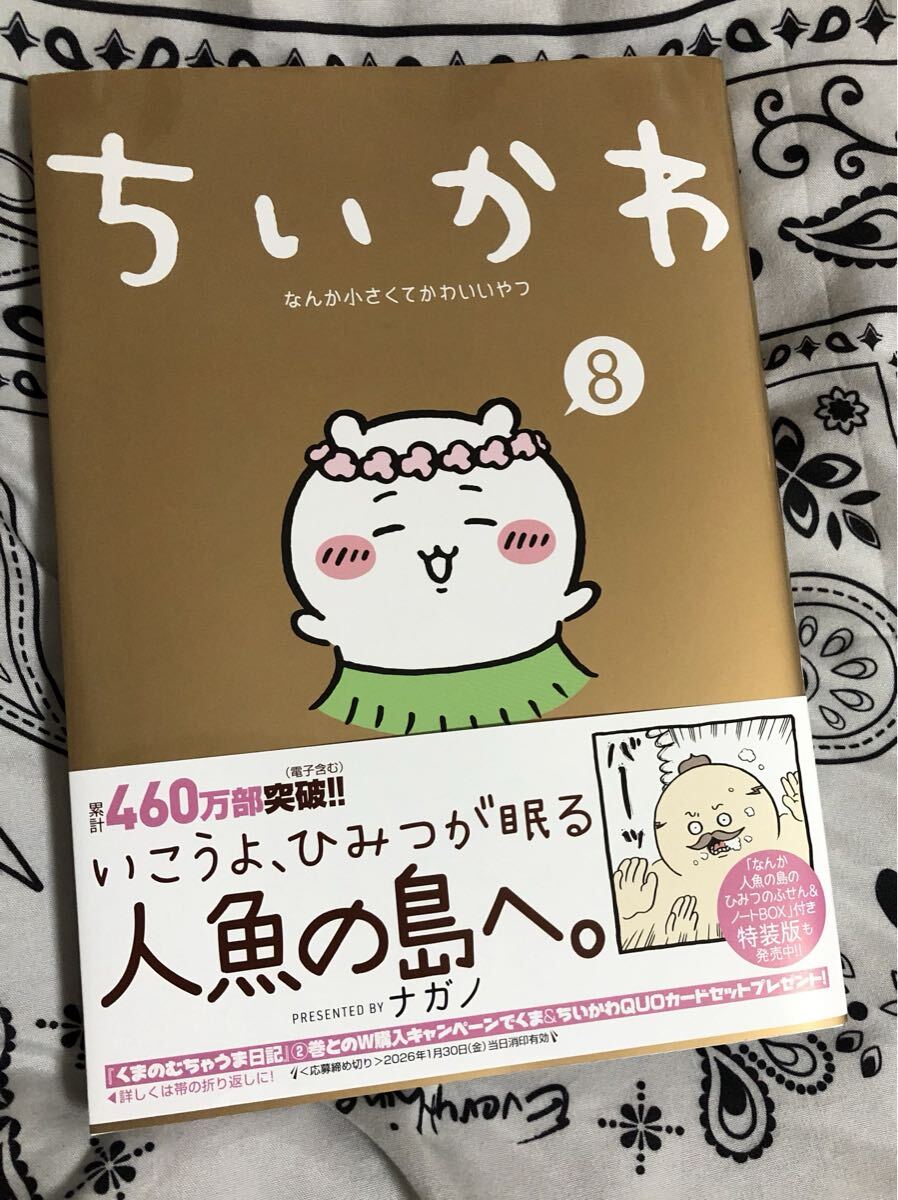 chi...8|nagano chi...8|nagano