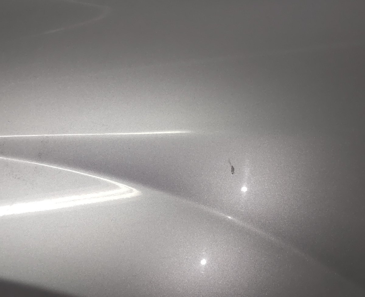 左 フェンダー マツダ MPV LW5W H11/6 10044 0002 18G LC62-52-211H 中古 15002491_画像9