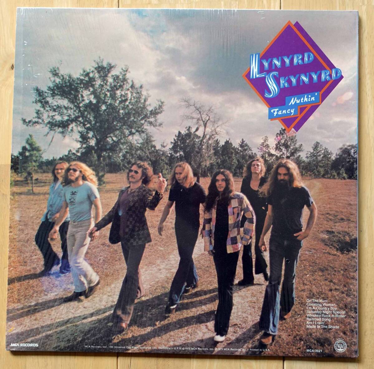 Lynyrd Skynyrd（レーナード・スキナード）LP『Nuthin' Fancy』US盤 シュリンク付き MCA-3021 再生確認済み_画像2