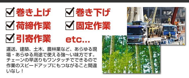 レバーホイスト 3t 3000kg 手動ホイスト レバーブロック 吊り上げ 荷締め機 ガッチャ チェーン ブロック CE TUV認証 玉掛け 新品 未使用_画像3