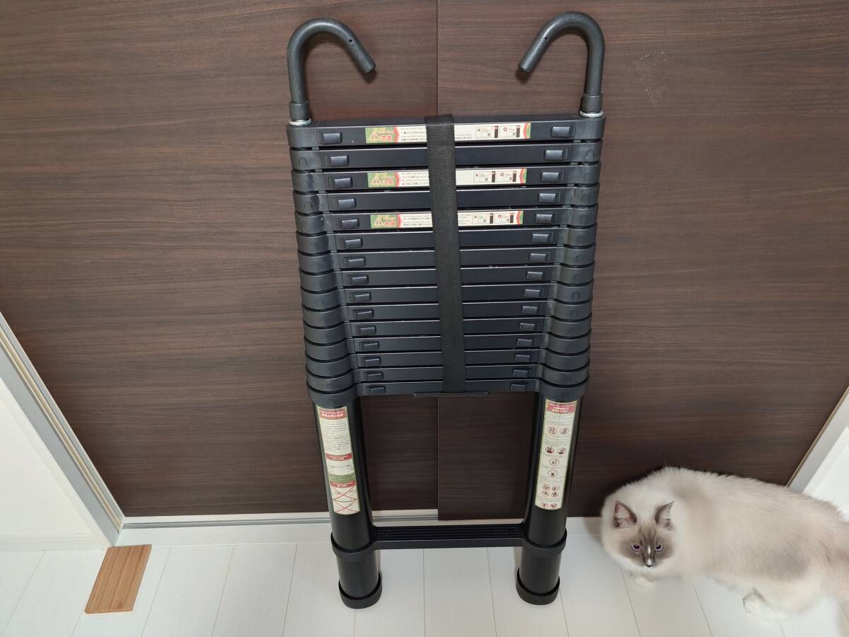 伸縮はしご6.2m（送料込）_画像1