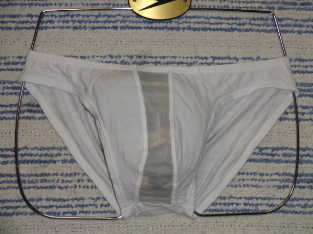 463　Ｌ　フロントメッシュの透ける危険なビキニパンツ　SizeＬ　ホワイト　新品未使用_画像2