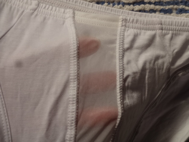 463　Ｌ　フロントメッシュの透ける危険なビキニパンツ　SizeＬ　ホワイト　新品未使用_画像3