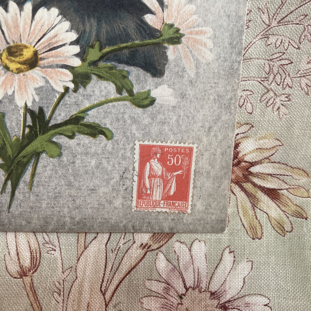 39 ＊アンティーク ポストカード＊　フランス　絵葉書　Maurice Boulanger 猫　マーガレット　手彩色　_画像3