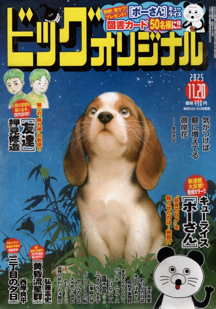 ビッグコミックオリジナル ２０２５年１１月２０日号 （小学館） ●大反響にお応えして第３回も巻頭カラーで！！　心温まる愛すべき_画像1