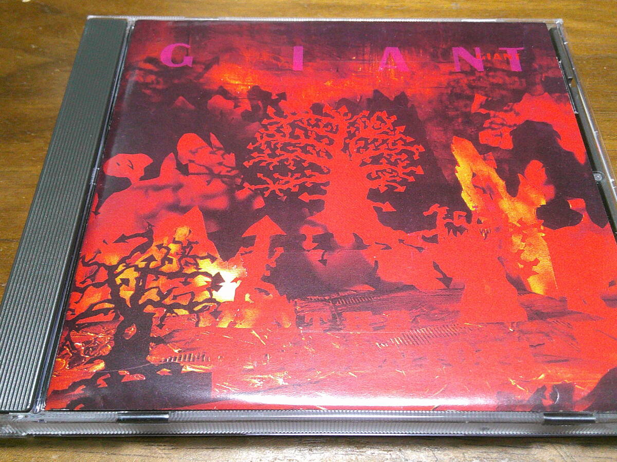 WOODENTOPS《 GIANT 》★80UKニューウェーブ_画像1