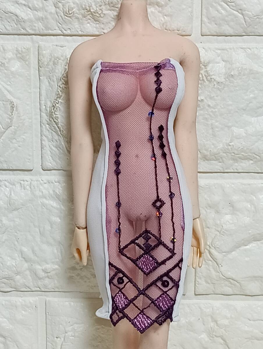  1/6スケール ファイセン TBLeague【S07】：前パープルレース　ワンピース_画像1