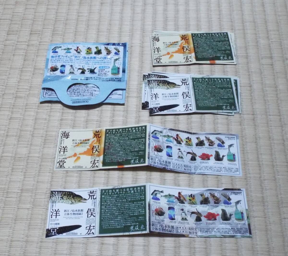 海洋堂 「新江ノ島水族館 立体生物図録２」 全14種+ミニブック+セブンイレブン版（シャチ） 荒俣宏、オマケ付きの画像7