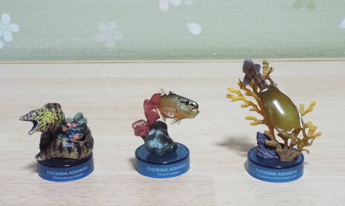 海洋堂 「新江ノ島水族館 立体生物図録２」 全14種+ミニブック+セブンイレブン版（シャチ） 荒俣宏、オマケ付きの画像2