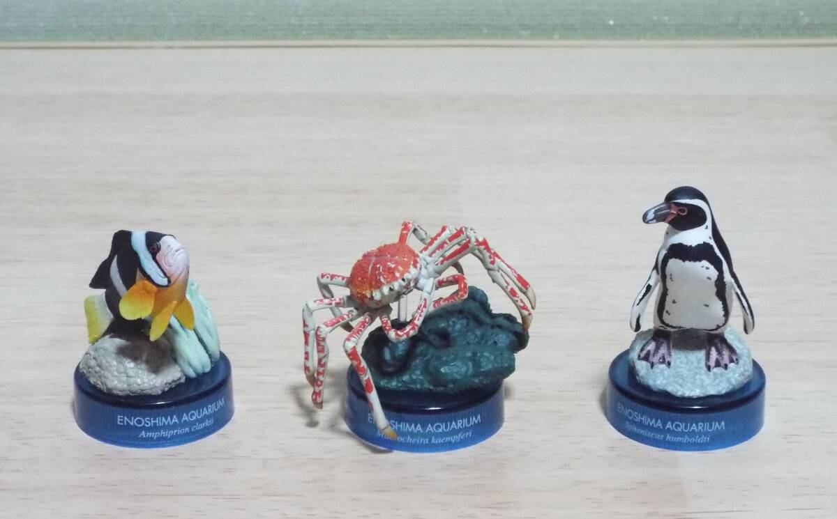 海洋堂 「新江ノ島水族館 立体生物図録２」 全14種+ミニブック+セブンイレブン版（シャチ） 荒俣宏、オマケ付きの画像5