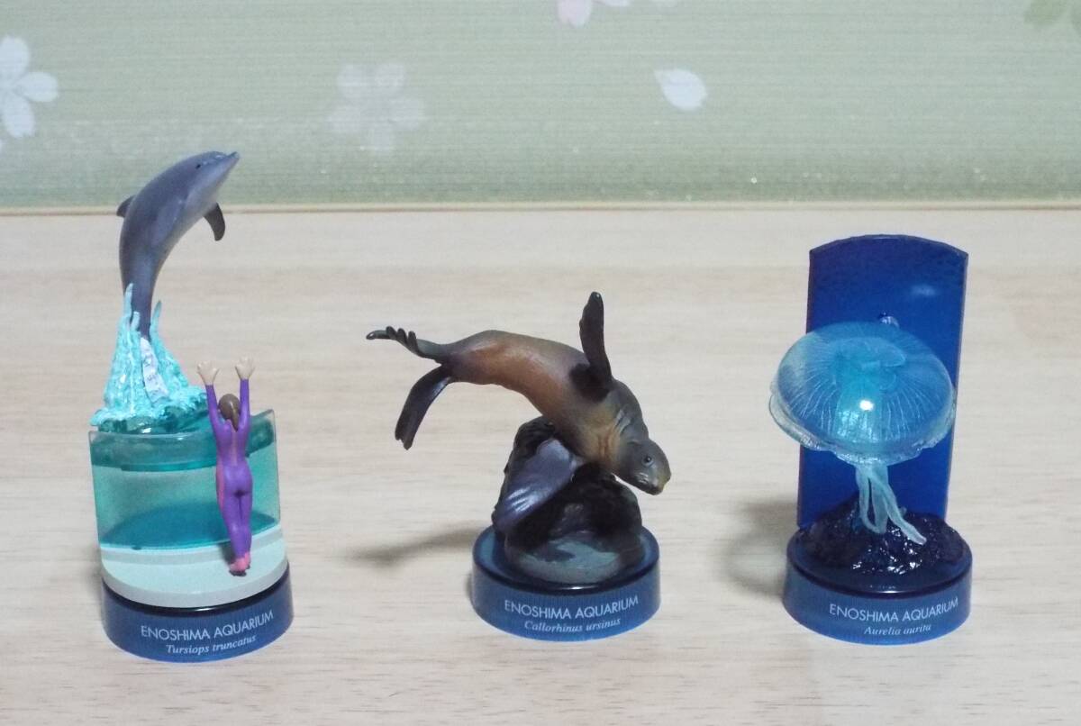 海洋堂 「新江ノ島水族館 立体生物図録２」 全14種+ミニブック+セブンイレブン版（シャチ） 荒俣宏、オマケ付きの画像3