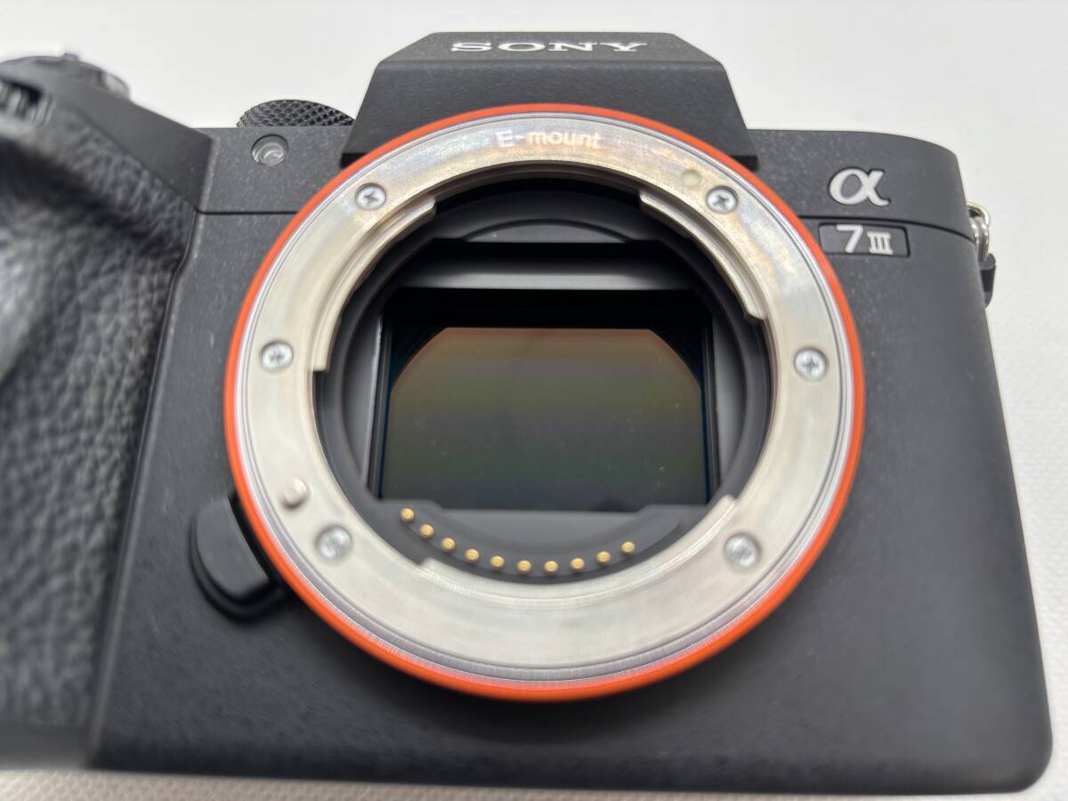 【新品同様 使用回数わずか2回】SONY α7 III ボディ ILCE-7M3 ズームレンズキット(シャッター数1341枚) _画像7