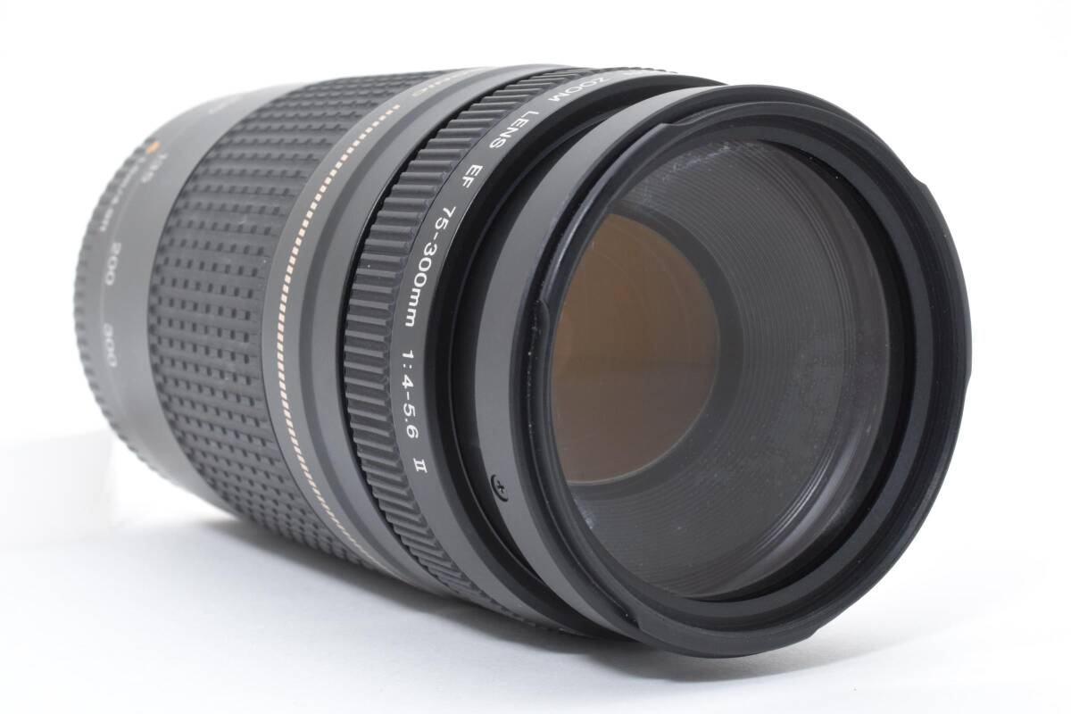 キャノン CANON EF 75-300mm F4-5.6 II USM #946_画像4