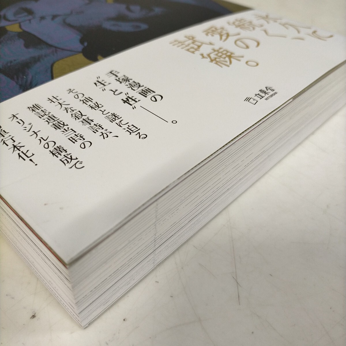  Apollo. .THE SONG FOR APOLLO оригинал версия рука .. насекомое lito- музыка . восток . с поясом оби 2019 год * старая книга / обложка потертость загрязнения / маленький . выгорел загрязнения пятна 