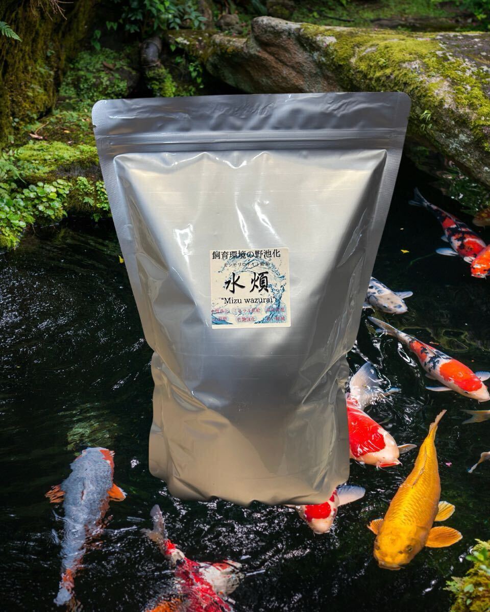 水煩 Mizuwazurai モンモリロナイト粉末 ２㎏ /金魚.玉サバ.らんちゅう.錦鯉へ_画像1