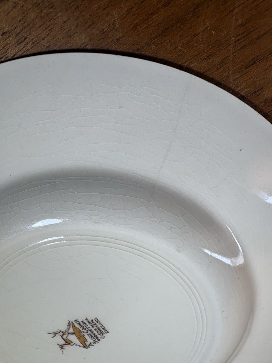 スージークーパー パトリシアローズ ピンク　プレート4枚セット　約20.5cm 英国_画像4