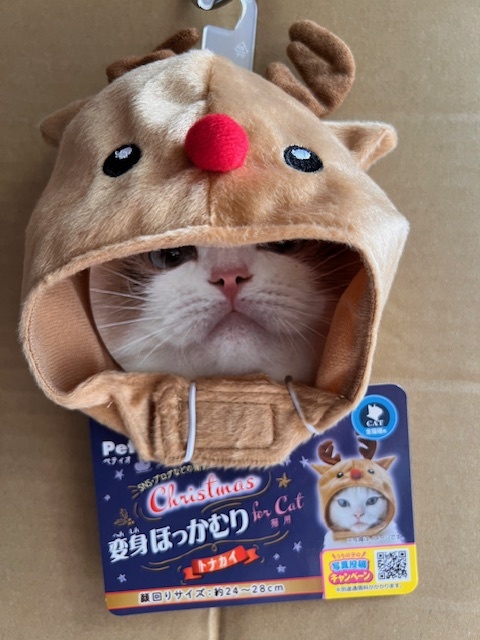 ●クリスマスコスプレ♪ ペティオ 猫用 変身ほっかむり トナカイ_画像1