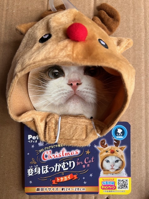 ●クリスマスコスプレ♪ ペティオ 猫用 変身ほっかむり トナカイ_画像3